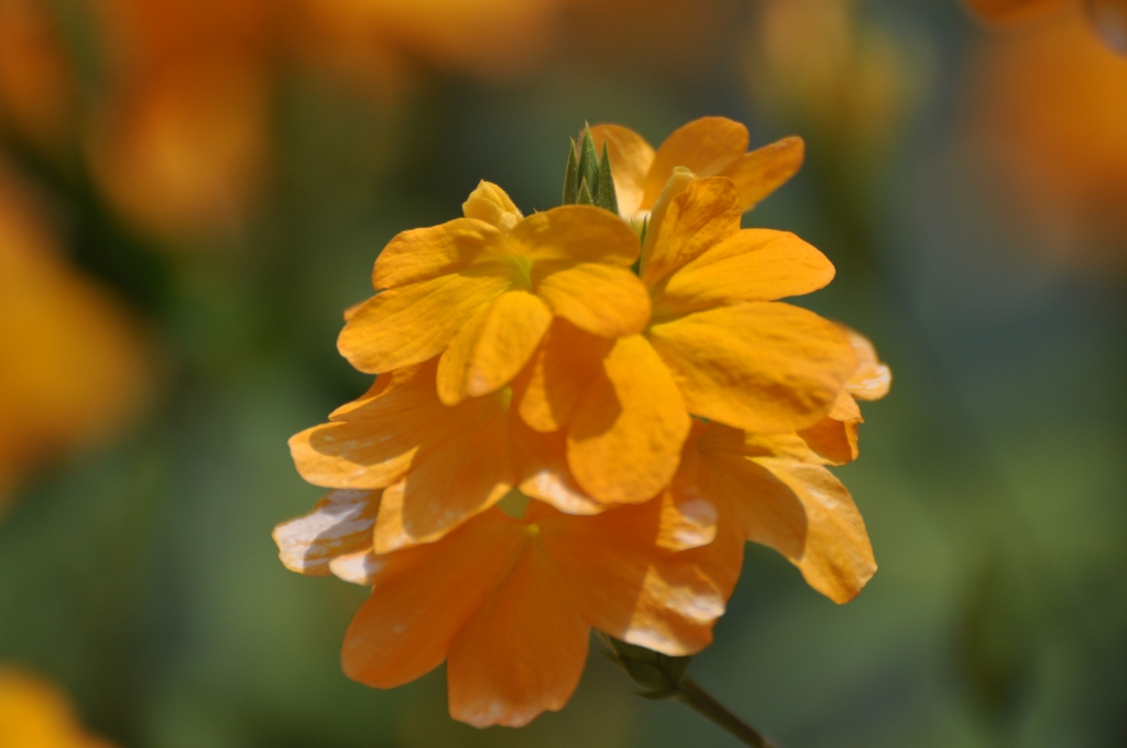 4 - Imagens do CEU.jpg